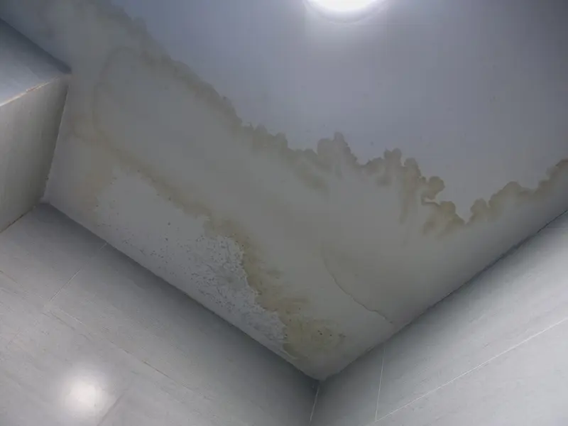Mold prevention after water damage East Stroudsburg PA